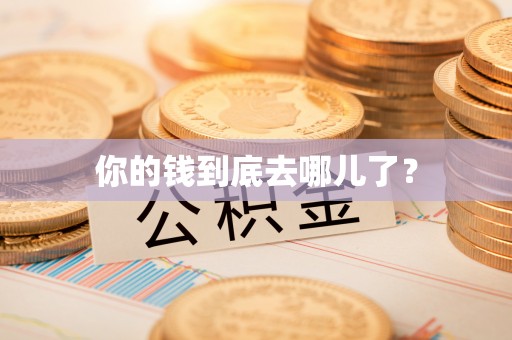铁东你的钱到底去哪儿了？