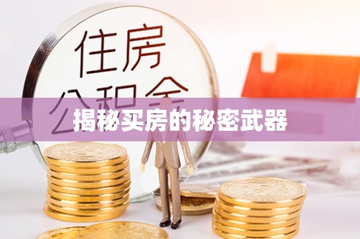 铁东揭秘买房的秘密武器