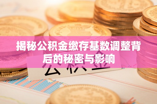 铁东揭秘公积金缴存基数调整背后的秘密与影响