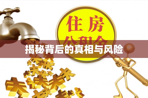铁东揭秘背后的真相与风险