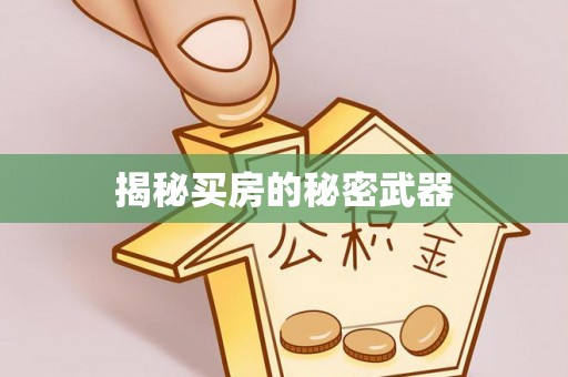 铁东揭秘买房的秘密武器