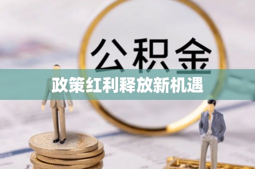 铁东政策红利释放新机遇