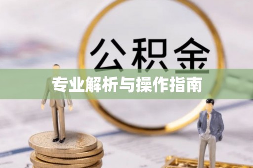 铁东专业解析与操作指南