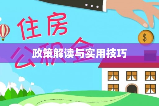 铁东政策解读与实用技巧