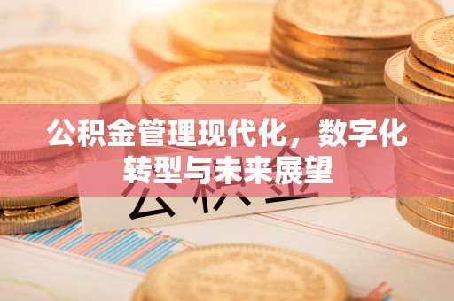 铁东公积金管理现代化，数字化转型与未来展望