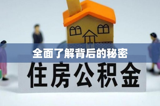 铁东全面了解背后的秘密