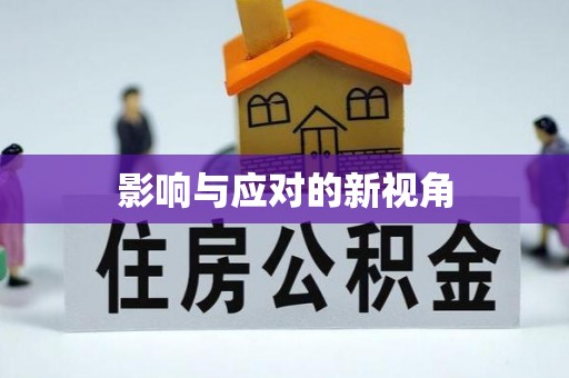 铁东影响与应对的新视角