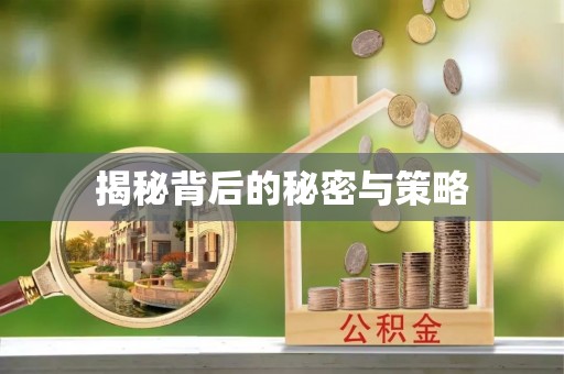 铁东揭秘背后的秘密与策略