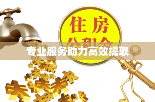 铁东专业服务助力高效提取